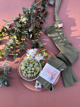 画像をギャラリービューアに読み込む, Hippy Footless / Olive
