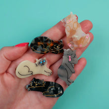 画像をギャラリービューアに読み込む, Tortoiseshell Cat Hair Clip