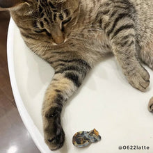 画像をギャラリービューアに読み込む, Tortoiseshell Cat Hair Clip