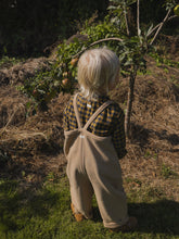 画像をギャラリービューアに読み込む, Blueberry Gingham Shirt