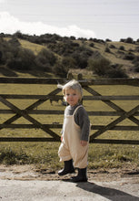 画像をギャラリービューアに読み込む, Pebble Dungarees