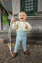 画像をギャラリービューアに読み込む, 【Coming soon 予約】Footed Tights / Misty Blue Patterned