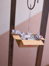 画像をギャラリービューアに読み込む, BEST CAT TOY