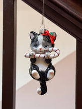 画像をギャラリービューアに読み込む, Cat With Candy Cane Ornaments / Black