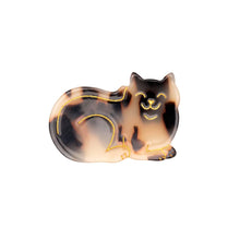 画像をギャラリービューアに読み込む, Tabby Cat Hair Clip