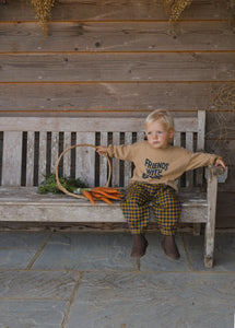 Blueberry Gingham Carrot Pants