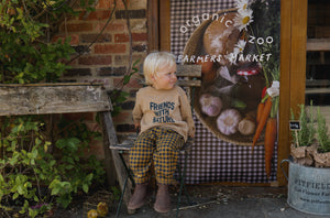 Blueberry Gingham Carrot Pants