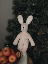 画像をギャラリービューアに読み込む, Floppy animal Sakura Rabbit /small