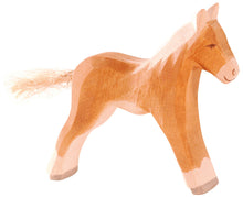 画像をギャラリービューアに読み込む, Haflinger colt